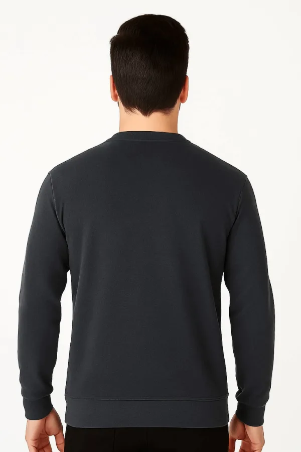Erkek Baskılı Sweatshirt Bisiklet Yaka Uzun Kollu Dışı Polar Pamuk Karışımlı Regular Kesim