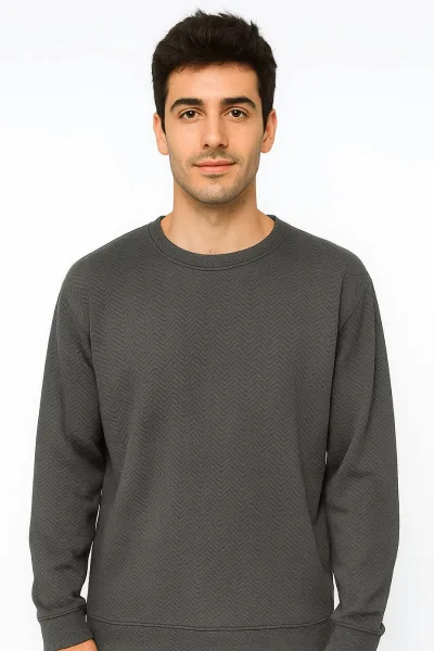 Bisiklet Yaka Uzun Kollu İnce Esnek Regular Kesim Erkek Sweatshirt