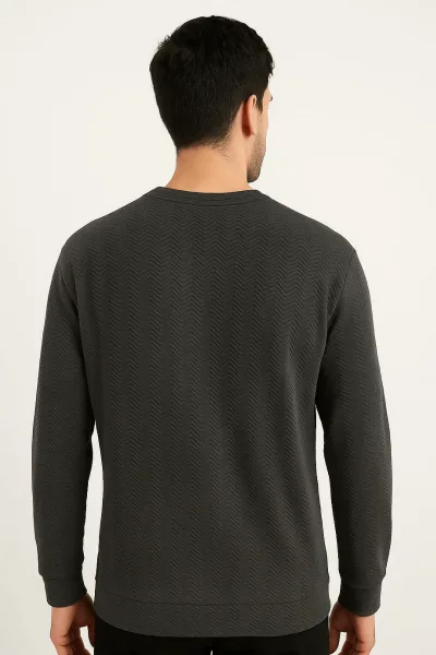 Bisiklet Yaka Uzun Kollu İnce Esnek Regular Kesim Erkek Sweatshirt