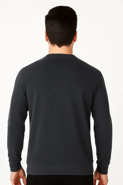 Erkek Baskılı Sweatshirt Bisiklet Yaka Uzun Kollu Dışı Polar Pamuk Karışımlı Regular Kesim